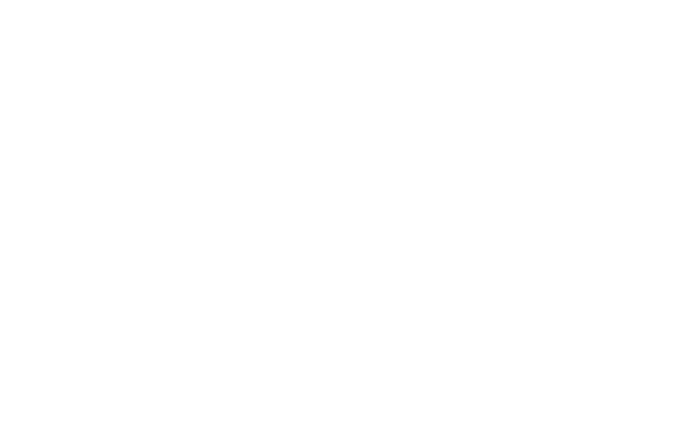 TEHAY Logo